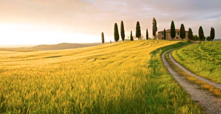 Gita Team 29 maggio / 2 giugno 2019 LA TOSCANA