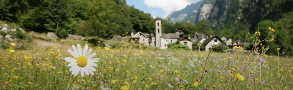 Domenica 30 agosto 2020 gita in  Val Bavona